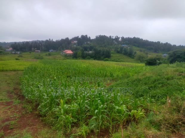 1 Acre Kauurai - thumbnail 6