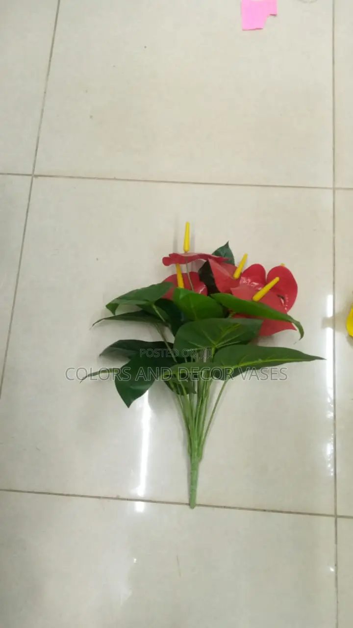 Small Plants KSH 800