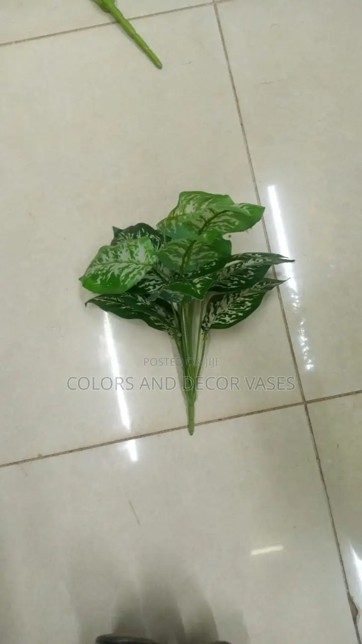 Small Plants KSH 800