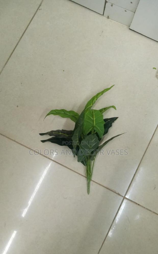 Small Plants KSH 800 - thumbnail 4