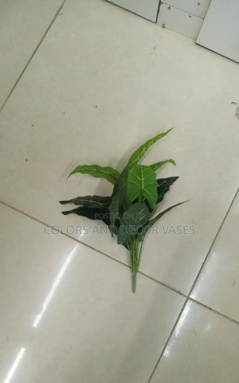 Small Plants KSH 800