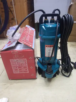 Best Premier QDX 0.5hp Well Pump