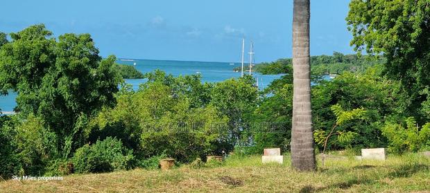 Serena, a Prime 3.7 Acre Creek Beach Plot for Sale - main view