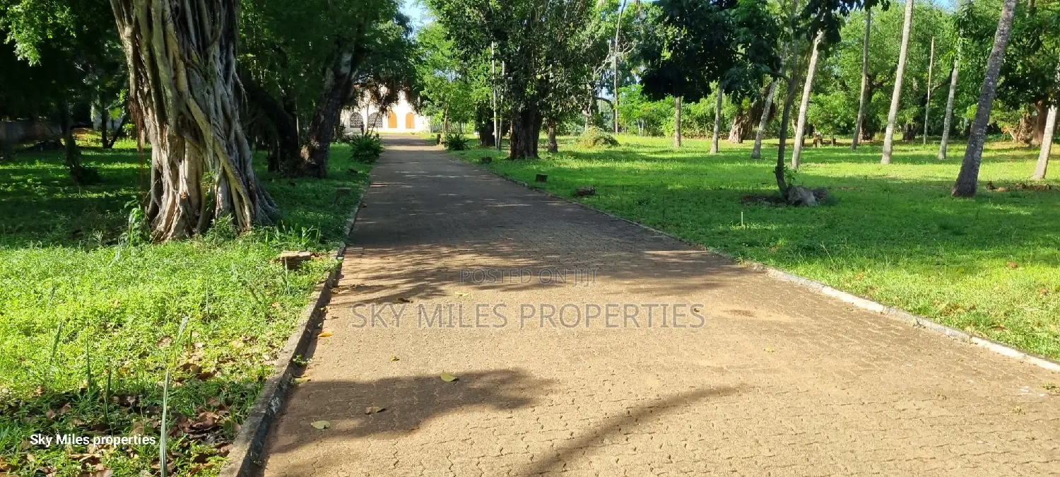 Serena, a Prime 3.7 Acre Creek Beach Plot for Sale