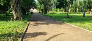 Serena, a Prime 3.7 Acre Creek Beach Plot for Sale