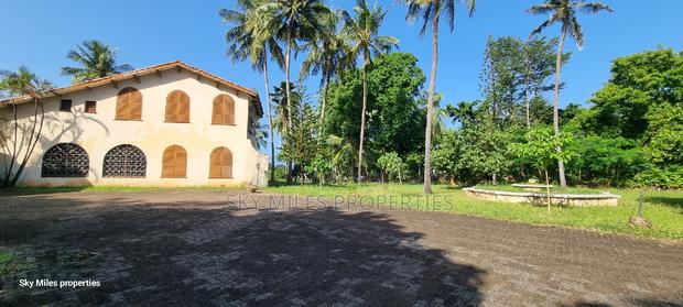 Serena, a Prime 3.7 Acre Creek Beach Plot for Sale - thumbnail 7