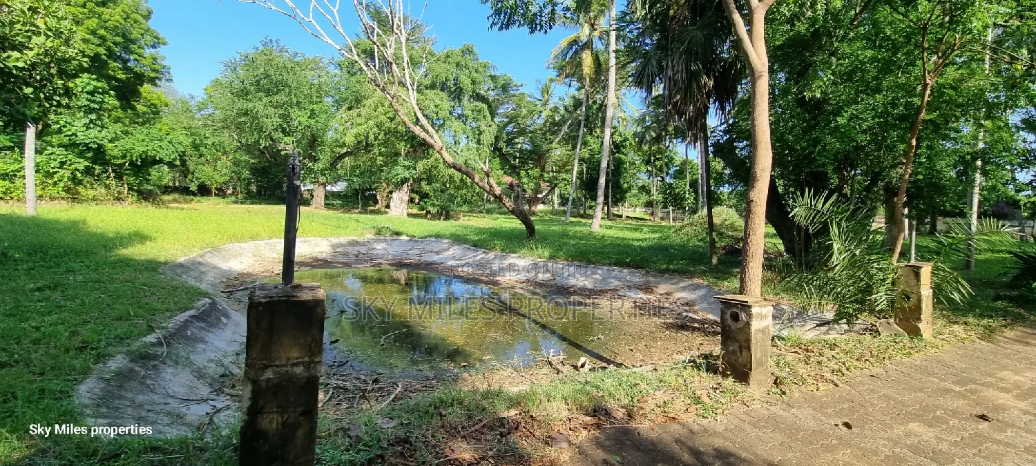 Serena, a Prime 3.7 Acre Creek Beach Plot for Sale