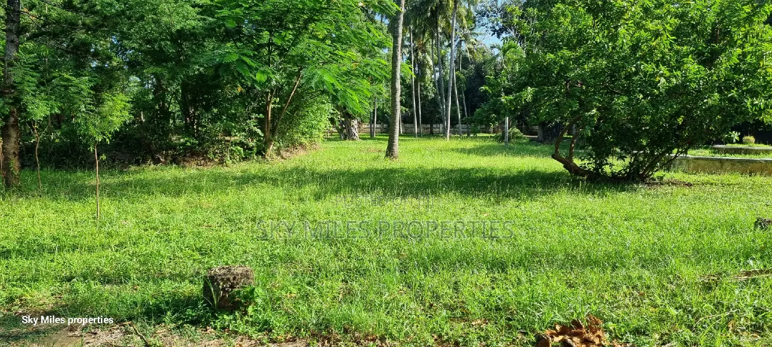 Serena, a Prime 3.7 Acre Creek Beach Plot for Sale