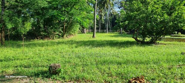 Serena, a Prime 3.7 Acre Creek Beach Plot for Sale - thumbnail 11