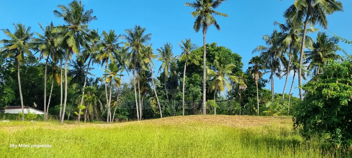 Serena, a Prime 3.7 Acre Creek Beach Plot for Sale
