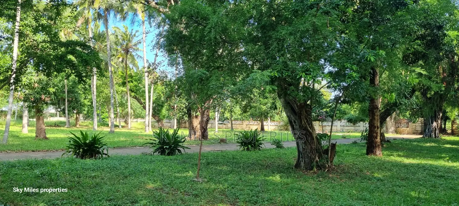 Serena, a Prime 3.7 Acre Creek Beach Plot for Sale
