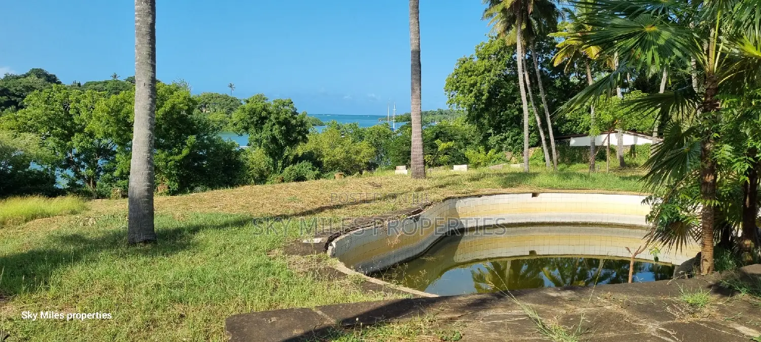 Serena, a Prime 3.7 Acre Creek Beach Plot for Sale