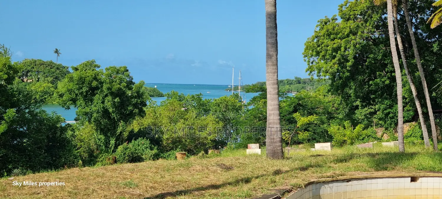 Serena, a Prime 3.7 Acre Creek Beach Plot for Sale