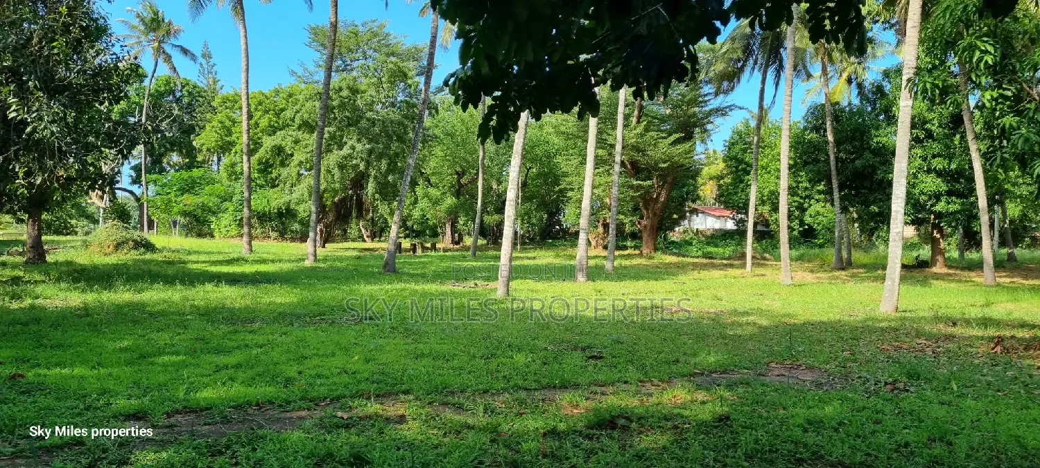 Serena, a Prime 3.7 Acre Creek Beach Plot for Sale