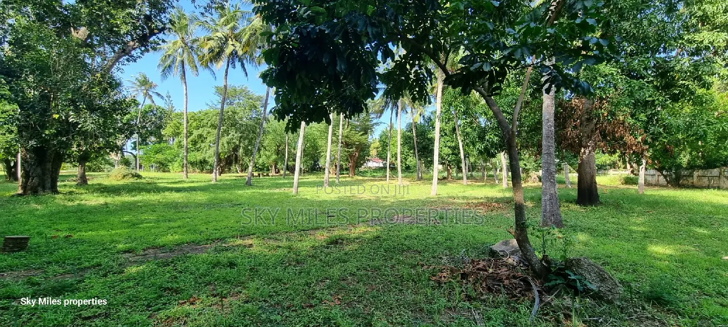 Serena, a Prime 3.7 Acre Creek Beach Plot for Sale