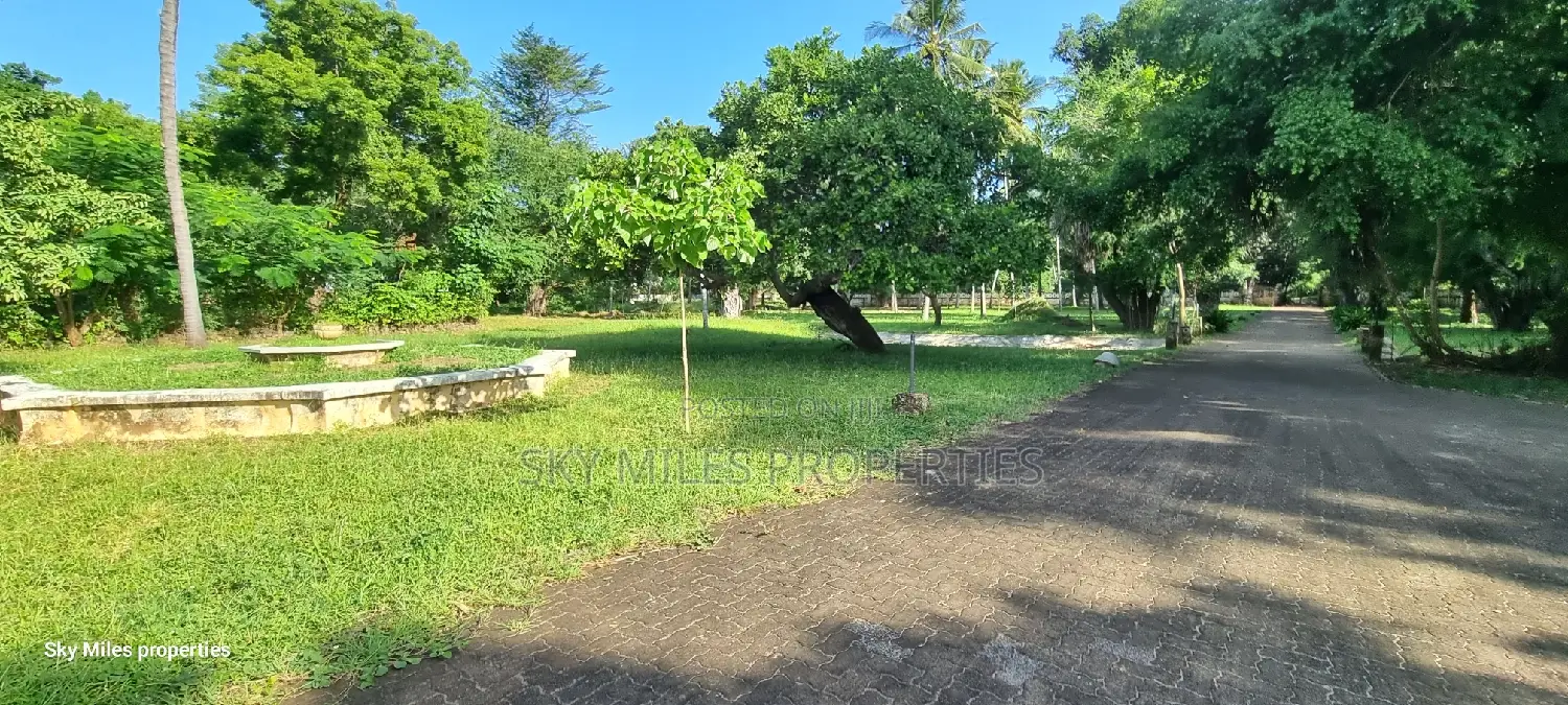 Serena, a Prime 3.7 Acre Creek Beach Plot for Sale