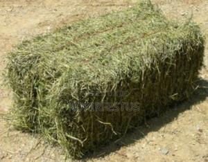 Quality Hay - main view