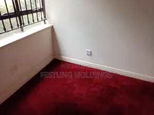 Wall to Wall Fluffy Quality Carpet
