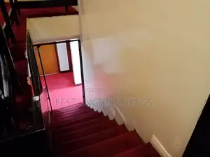 Wall to Wall Fluffy Quality Carpet