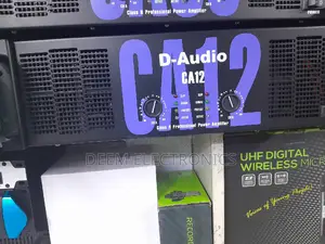D Audio Amp