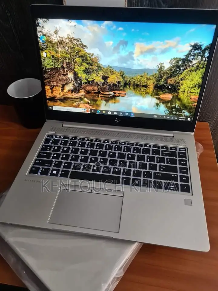 Laptop HP EliteBook 745 G6 16GB AMD Ryzen 5 SSD 256GB