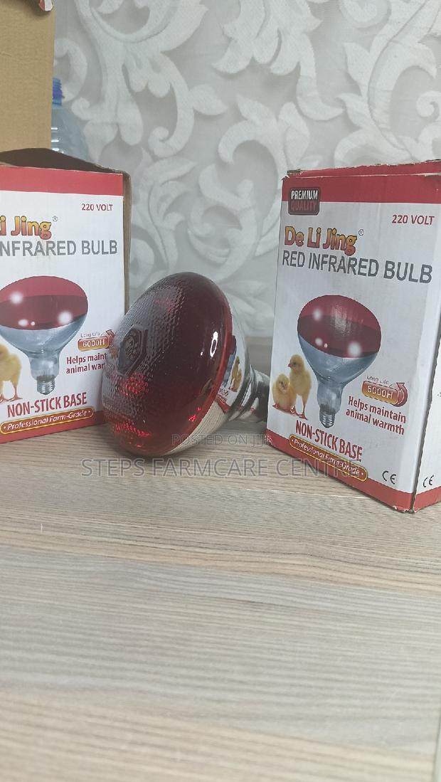 250 W Infrared Durable Brooding Bulbs