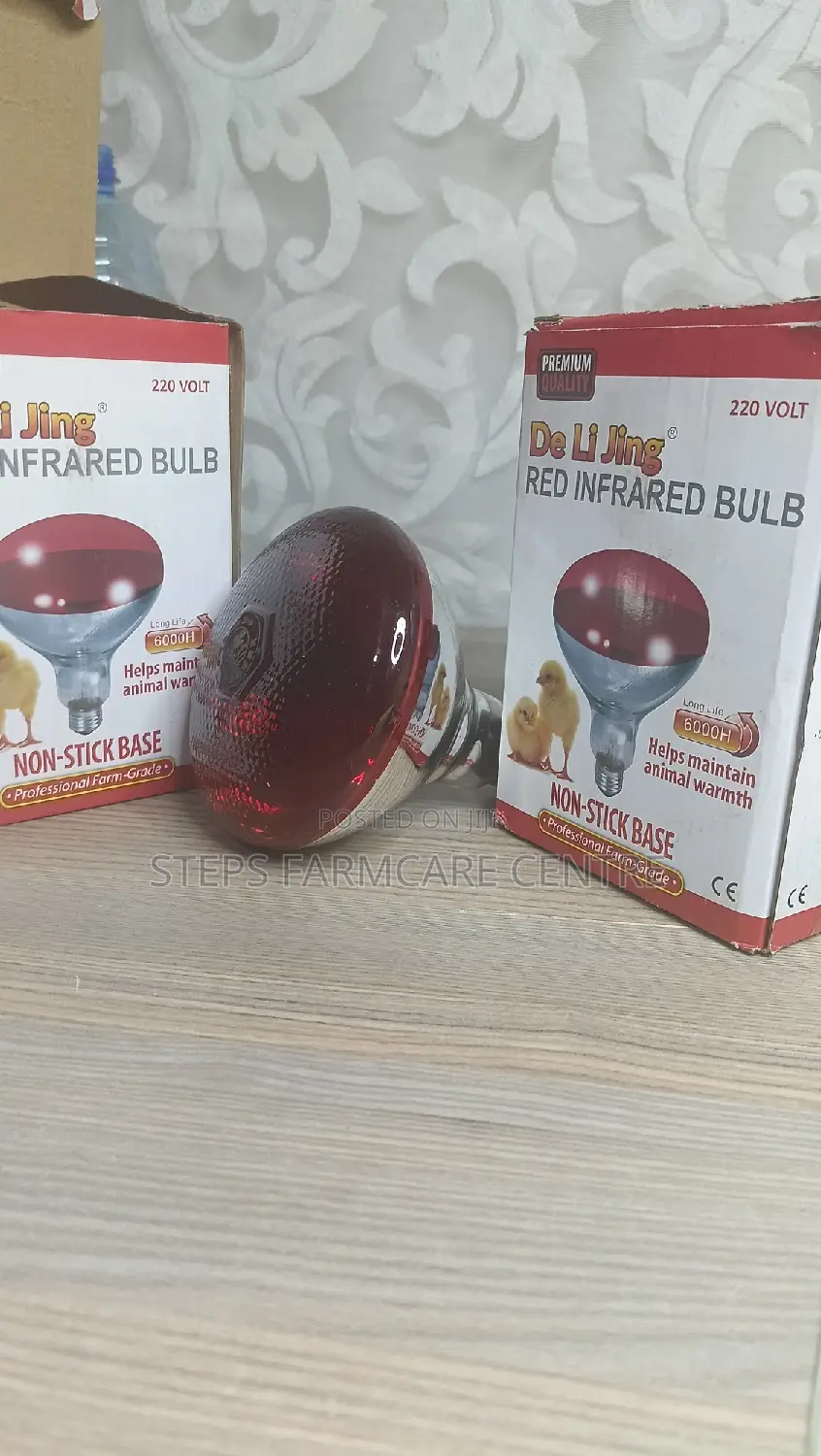 250 W Infrared Durable Brooding Bulbs