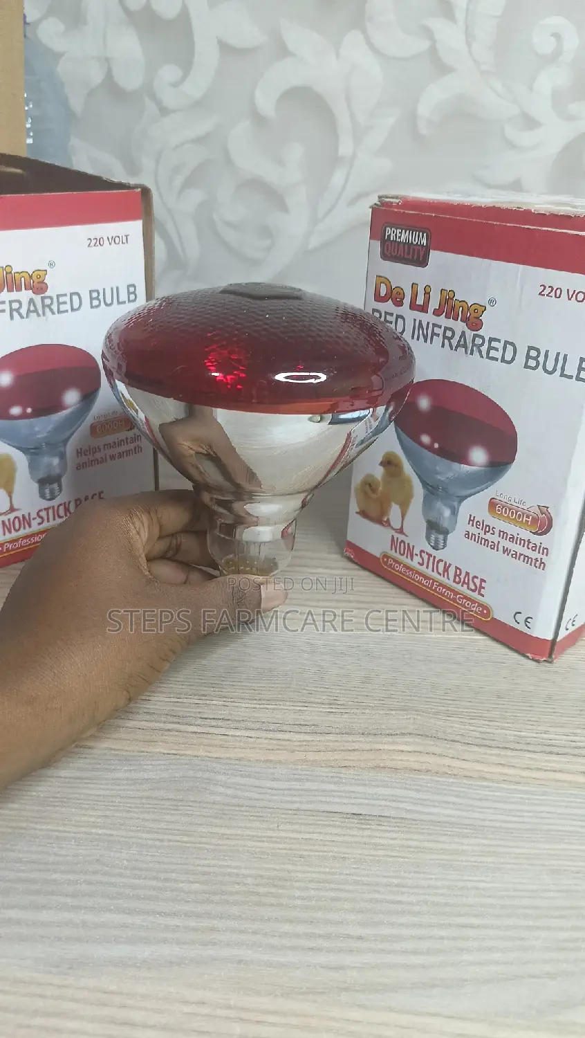 250 W Infrared Durable Brooding Bulbs