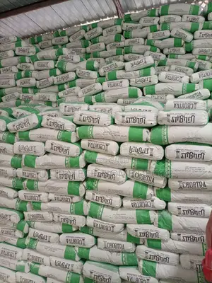 White Cement, 42.5 Cleopatra