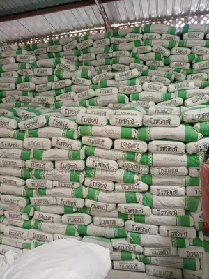 White Cement, 42.5 Cleopatra