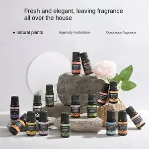 *💠10pcs FLAVORS ESSENTIAL OILS For Aroma Diffuser Air Humid