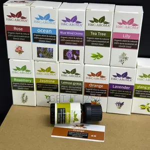 *💠10pcs FLAVORS ESSENTIAL OILS For Aroma Diffuser Air Humid
