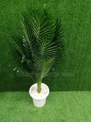 1m Palm Tree With White Stones in Vase
