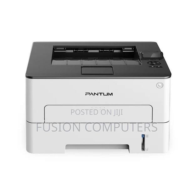 Pantum P3010DW Mono Laser Single Function Printer - main view