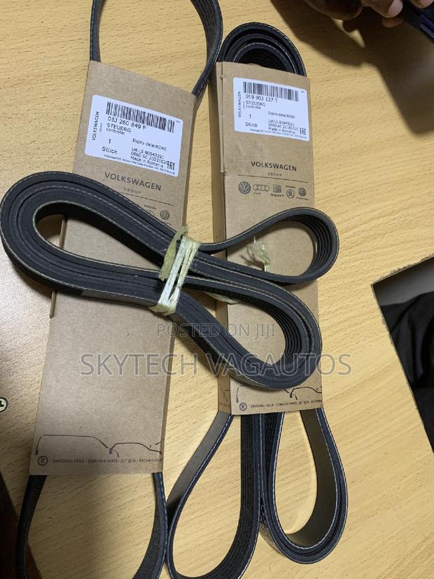 Volkswagen Audi Fun Belt