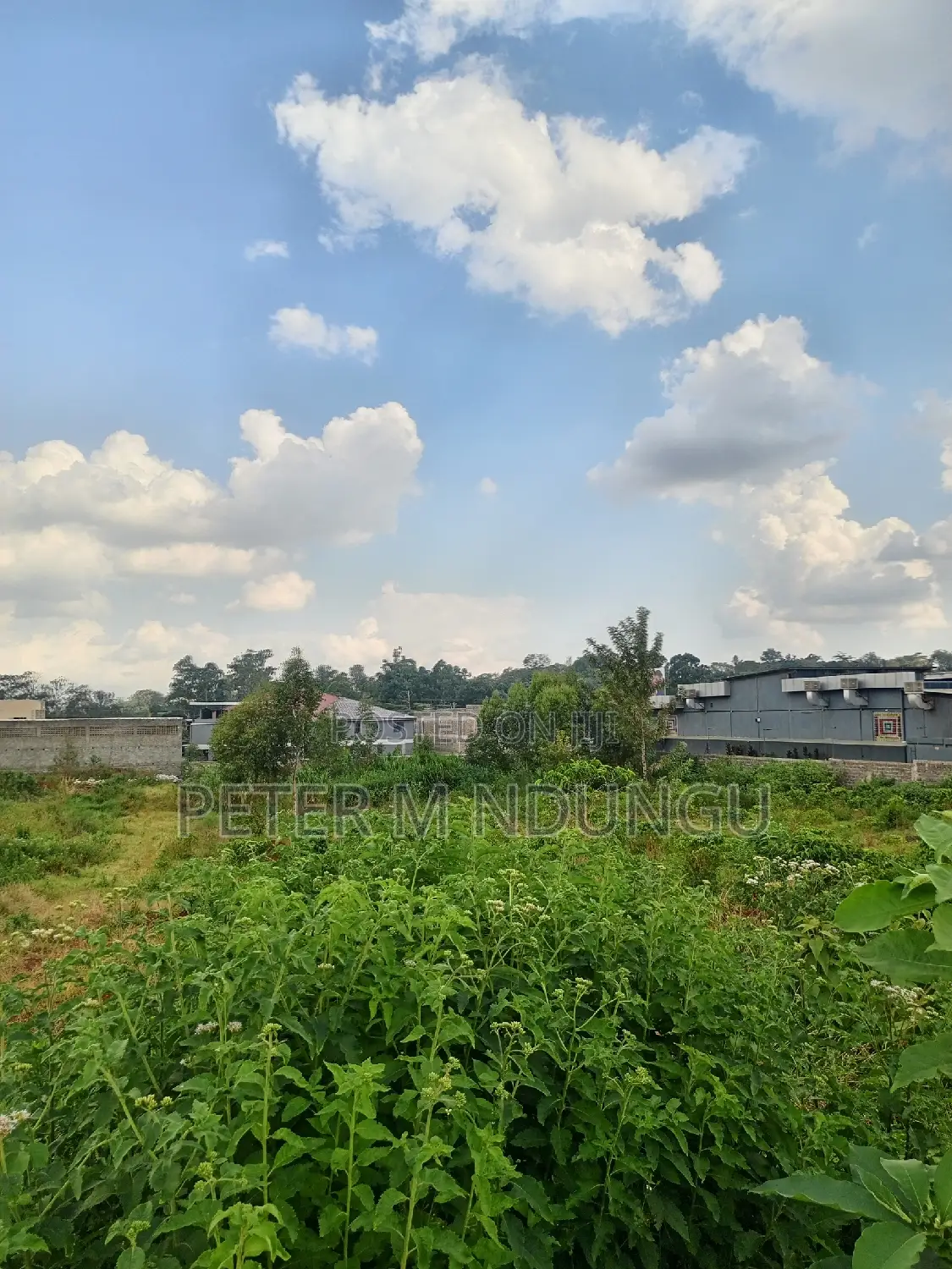 Land on Lease , 1.5 Acres , Northern Bypass, Second Row