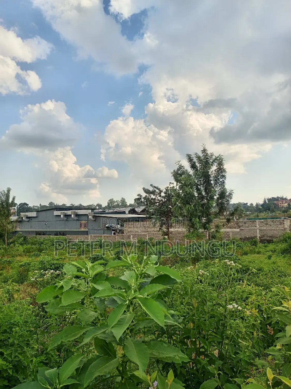Land on Lease , 1.5 Acres , Northern Bypass, Second Row