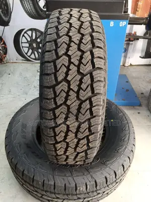 225/65r17 Sailun All-Terrain Tire