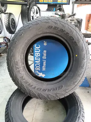 265/65r17 Dunlop All-Terrain Tire