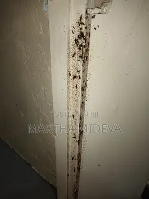 Fumigation and Pest Control Contact