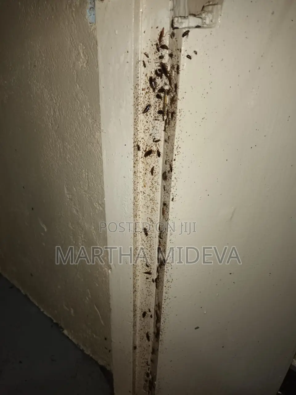 Fumigation and Pest Control Contact
