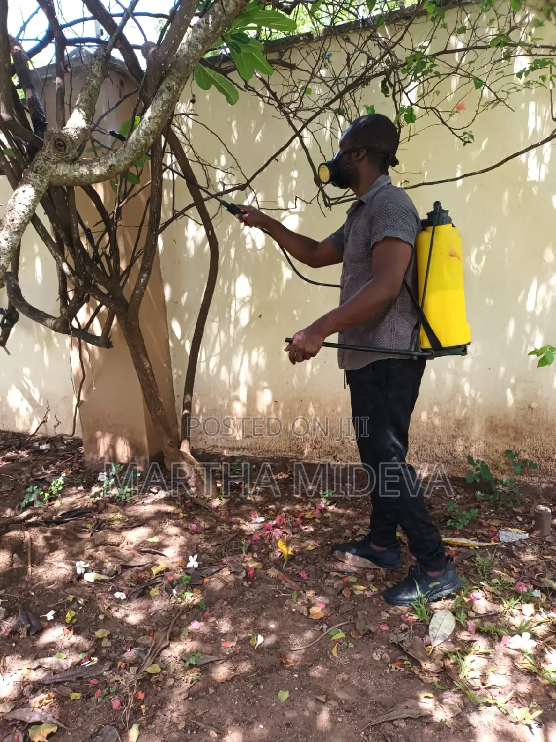 Fumigation and Pest Control Contact