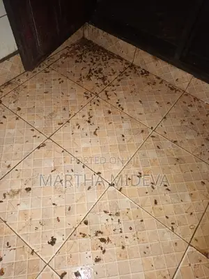 Fumigation and Pest Control Contact