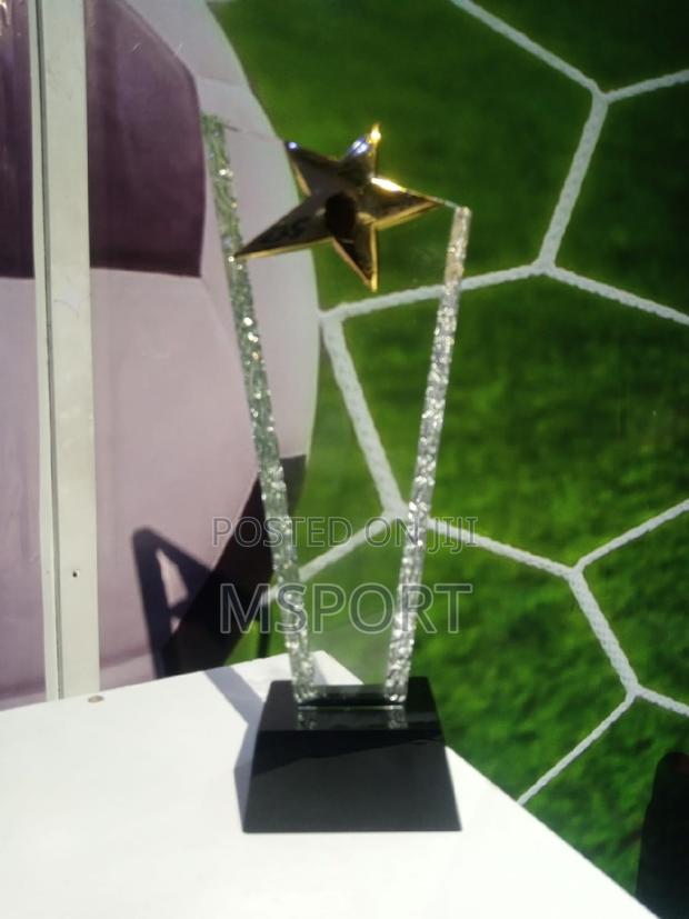 Trophy Winners Award - thumbnail 2