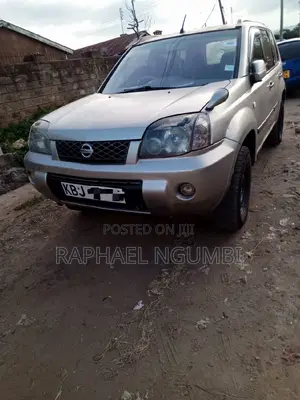 Nissan X-Trail 2003 Silver