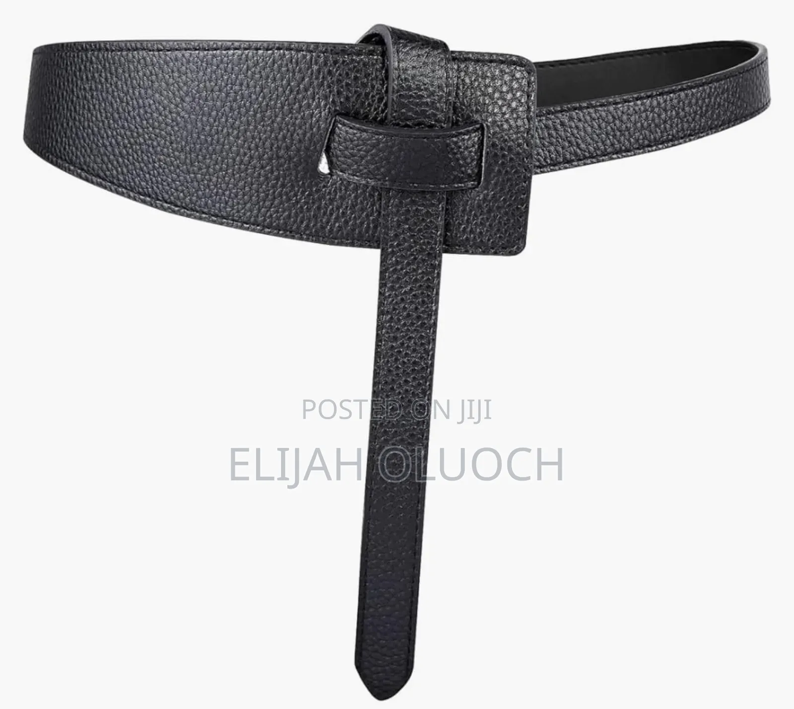 One Statement Belt