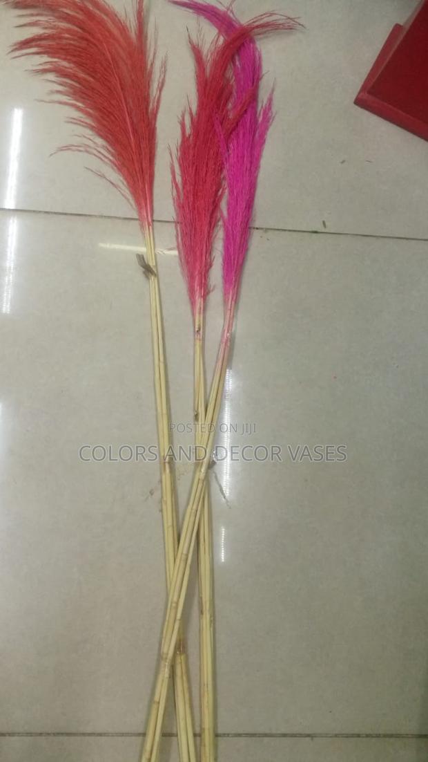 Grass Pampas Colours Red and Pink - main view