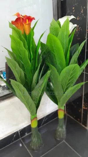 Flowered Plant Without Vase