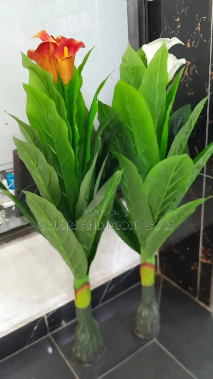 Flowered Plant Without Vase