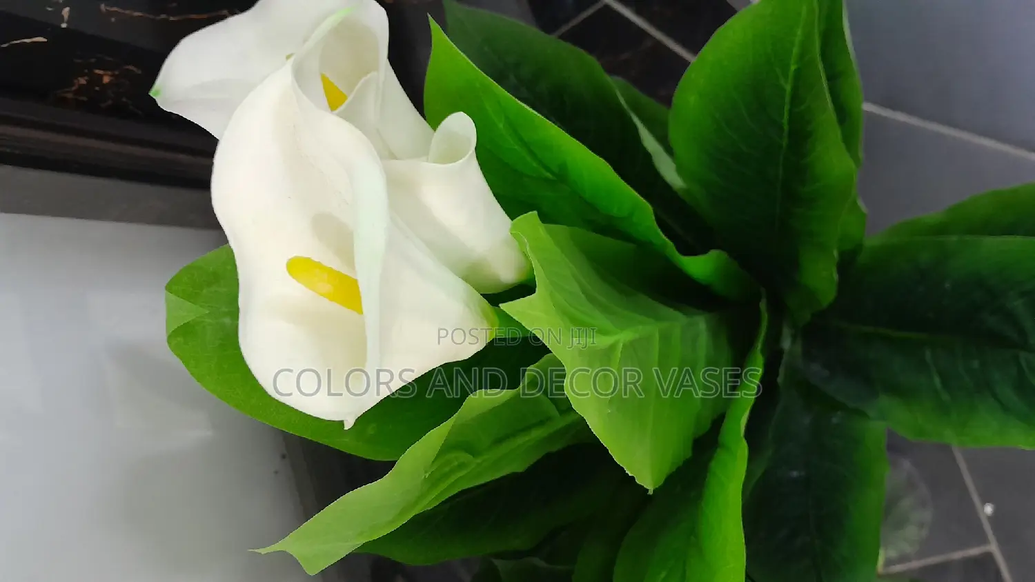 White Flower Plant 1m Long